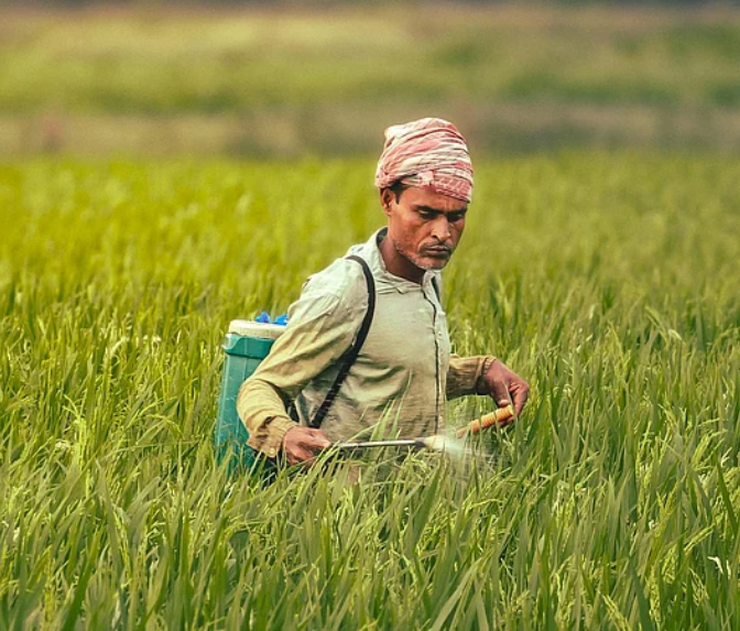 Carbosulfan Ban 2026 and pesticide impact on farmers