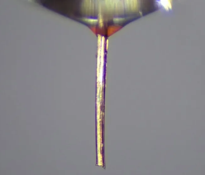 Mosquito 3D Printing nozzle wins 2026 Ig Nobel Prize