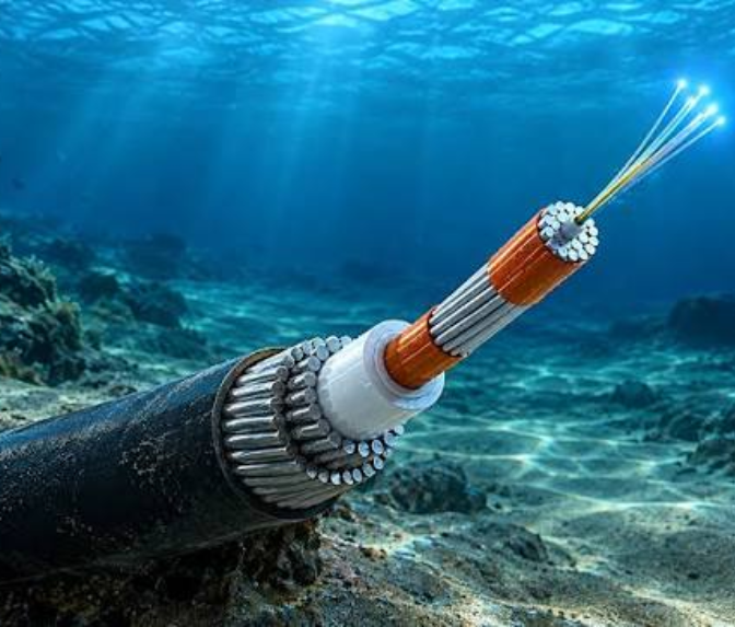 Beyond BIZ Project Petal Meta submarine cable technology